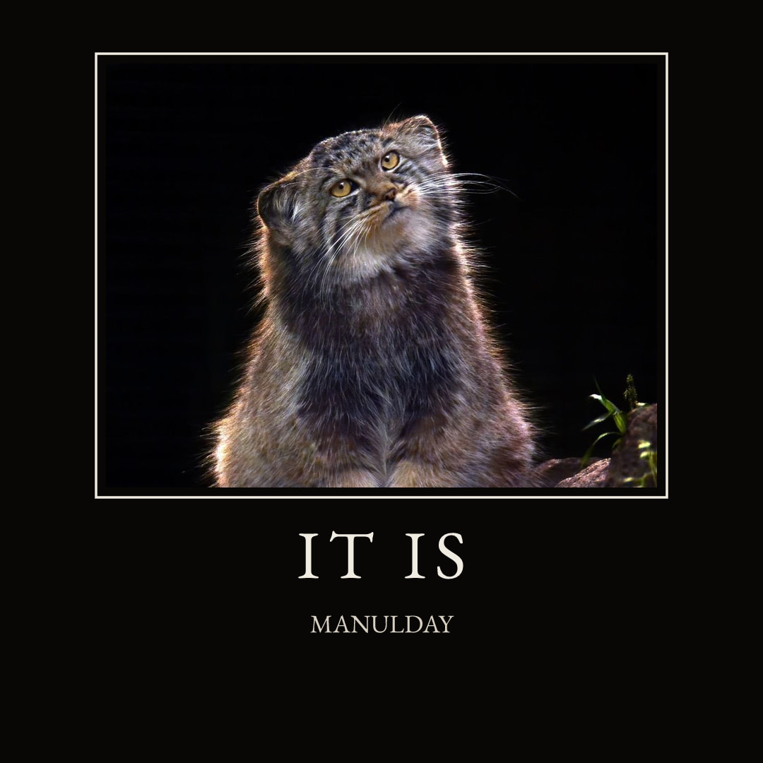 Card #3, Demotivational